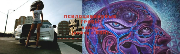 молекула духа Лиски